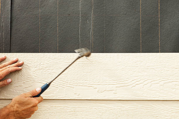 Affordable Siding Repair and Maintenance Services in Plainview, NE